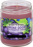 Chandelles Désodorisantes Smoke Odor Exterminator