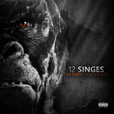 12 Singes - En Direct D’La Jungle