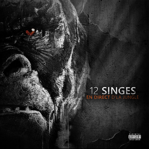12 Singes - En Direct D’La Jungle